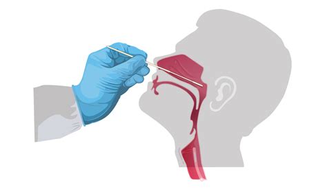 la pipette.lab covid|Interim Guidelines for Collecting and Handling of Clinical .